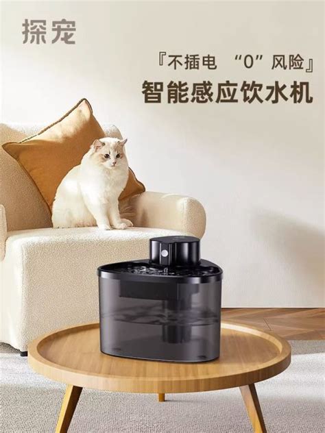 Pet Fountain No Plug