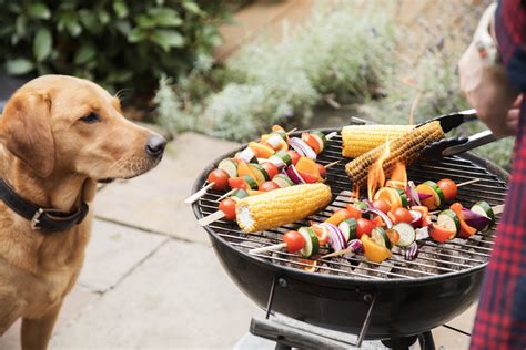 pet friendly BBQ area