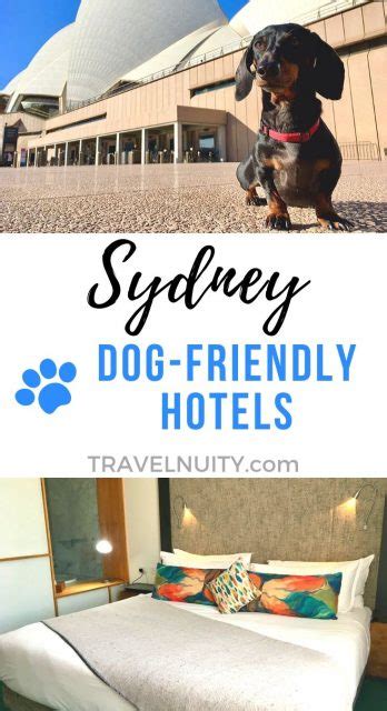 pet friendly accommodation sydney nsw