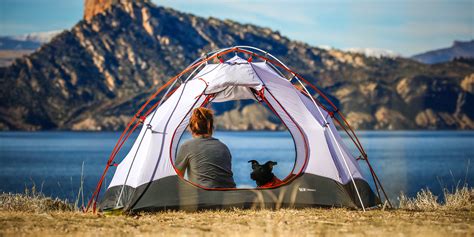 pet friendly camping byron bay