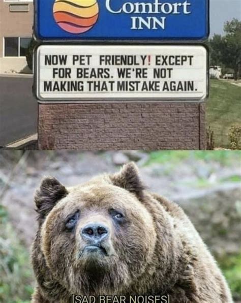 pet friendly except for bears