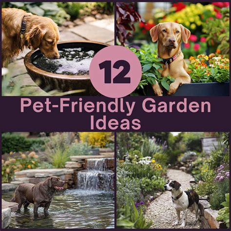 pet friendly garden