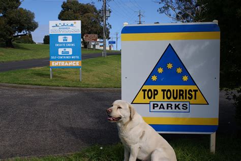 pet friendly holiday accommodation victoria