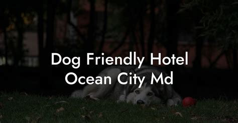 pet friendly hotels md