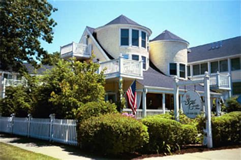 pet friendly hotels near south haven mi