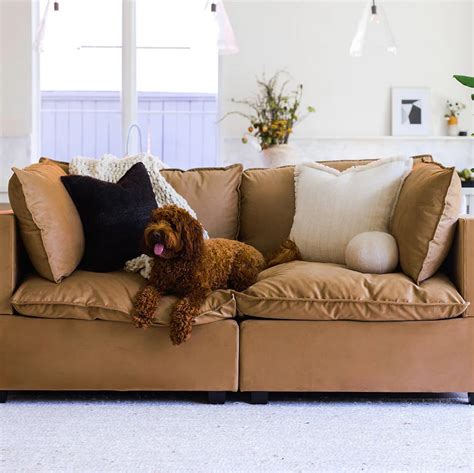 Pet Friendly Sleeper Sofas