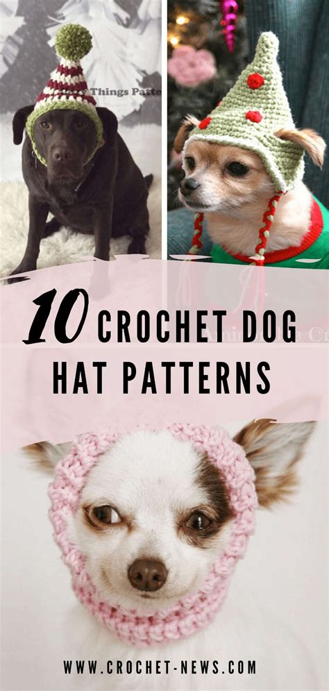 Pet Hat Crochet Pattern
