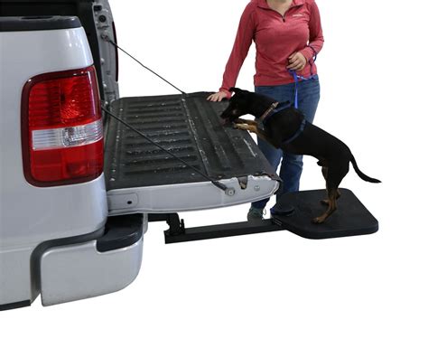Pet Hitch Step