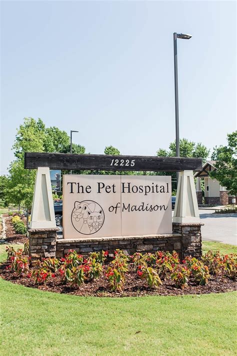 Animal Care A Closer Look at The Pet Hospital of Madison