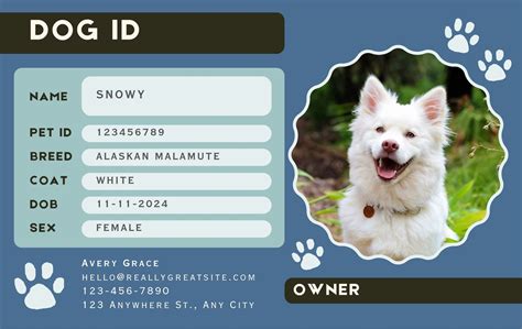 pet identity card