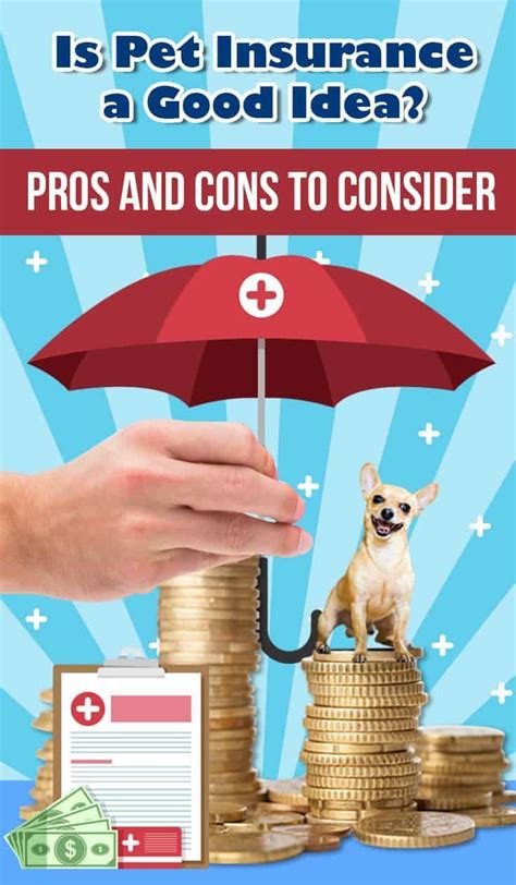 pet insurance affordable options