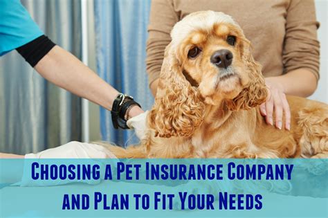 pet insurance companies to choose