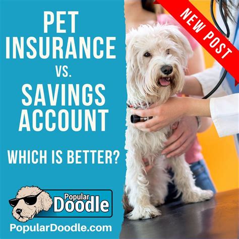 pet insurance low cost options