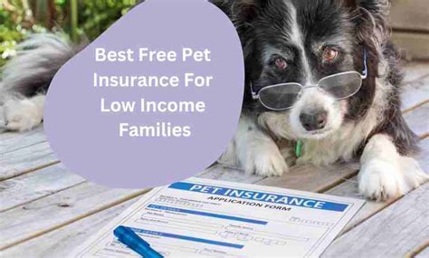 pet insurance low income