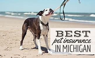 Secure Your Pet's Health with the Best Pet Insurance in Michigan - Compare and Save Now