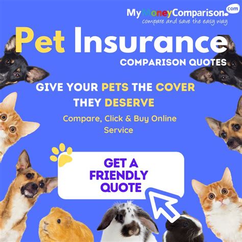 pet insurance quotes comparison uk
