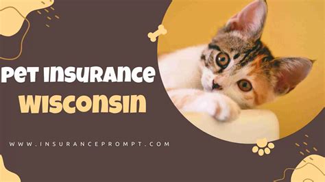 Protect Your Furry Friend with Reliable Pet Insurance in Wisconsin