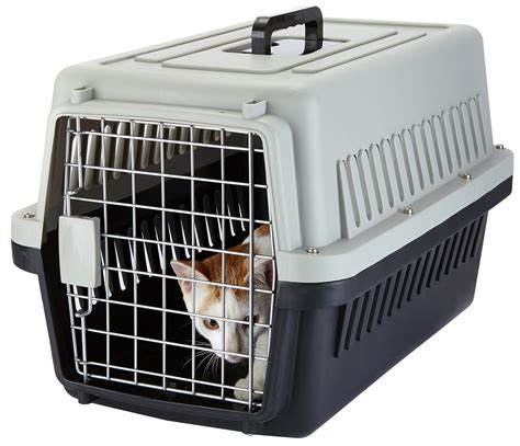 pet kennel for air travel