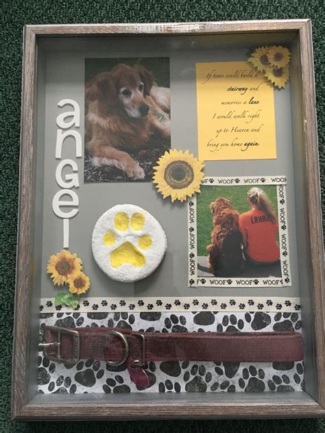 Pet Memorial Shadow Box Diy