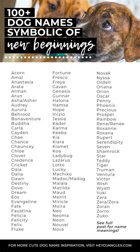 Pet Names And Their Meaning