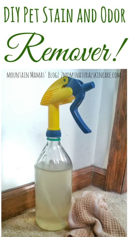 Pet Odor Remover Diy