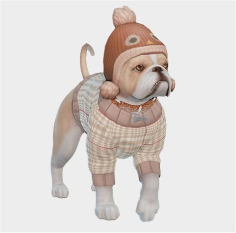 Pet Outfits Sims 4