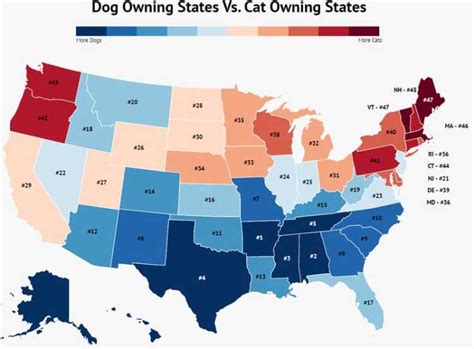 Pet Ownership By Zip Code