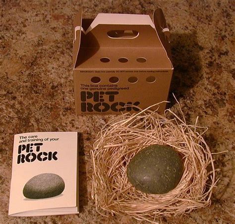 Pet Rocks Ebay