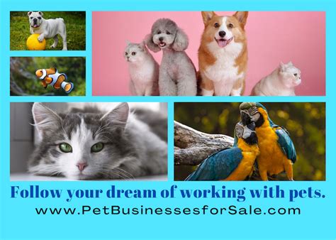 pet shop business for sale