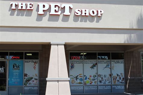 pet shop byron bay