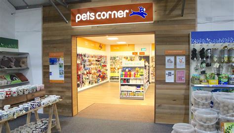 pet shops in windsor uk