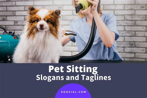 Pet Sitter Taglines
