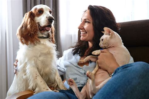 pet sitters in san diego