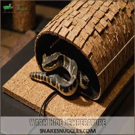 Pet Snake Temperature