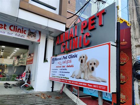 Pet Store Veterinary Services