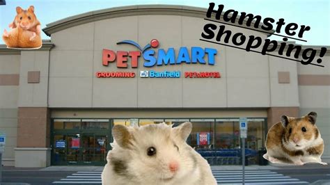 Pet Stores Hamsters