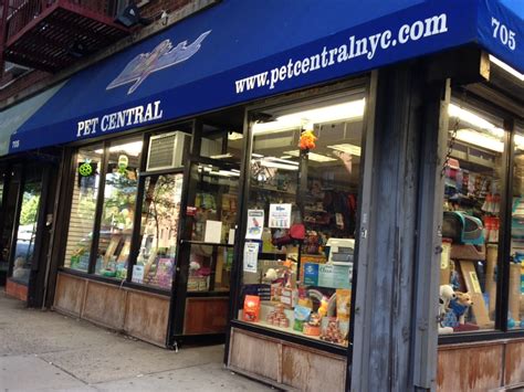 Pet Stores On Central Avenue