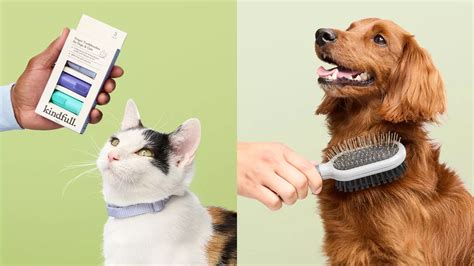 Pet Supplies At Target