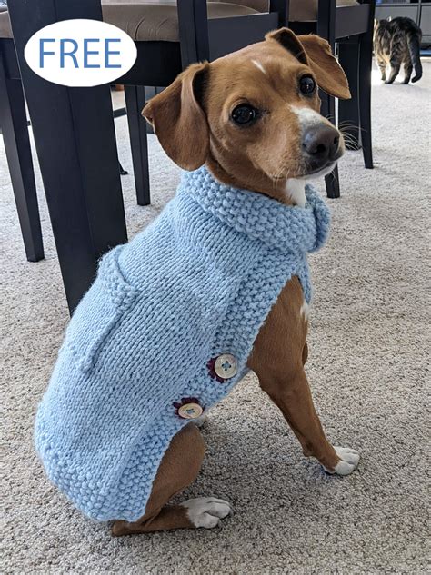 Pet Sweater Knitting Pattern Free