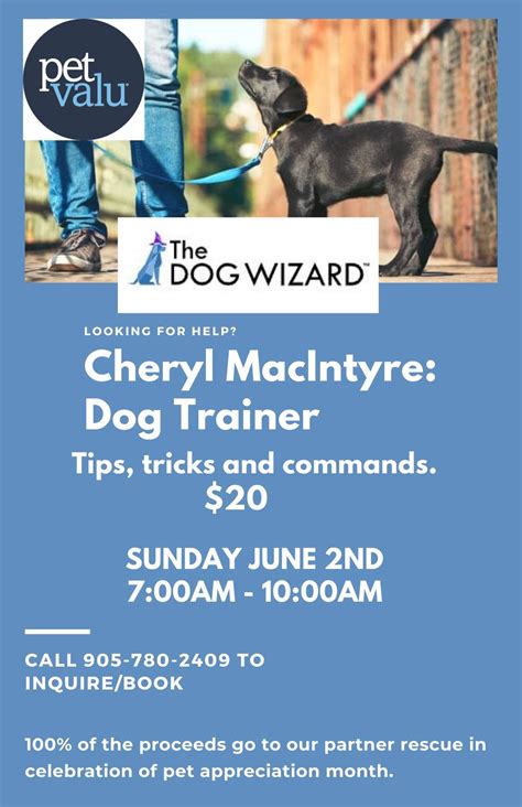 Pet Valu Training Classes