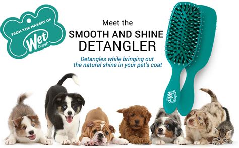 Pet Wet Brush