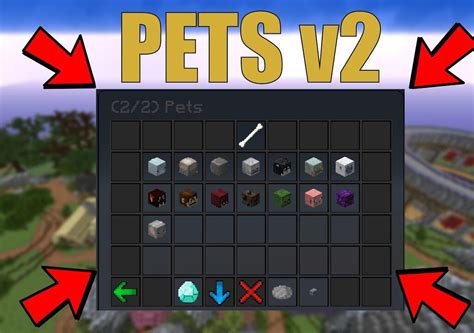 Pet Xp Boost Hypixel Skyblock Wiki