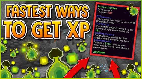Pet Xp Calculator Hypixel Skyblock
