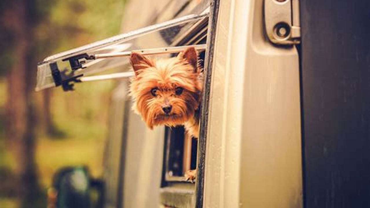 Pet-Friendly RV Coverage: The Essential Guide to Protecting Your Furry Travel Companion