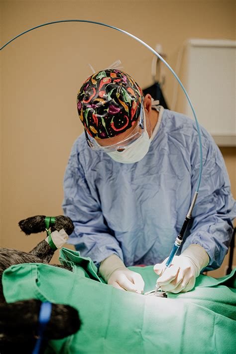Surgery