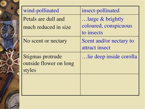 Petals On The Wind Analysis