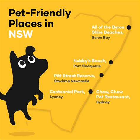 Petbarn Dogs Allowed