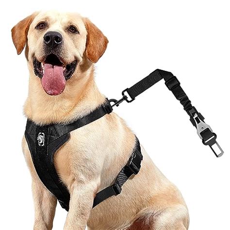 Petco Car Harness