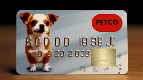 petco payment