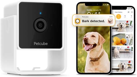 Petcube Cam Subscription